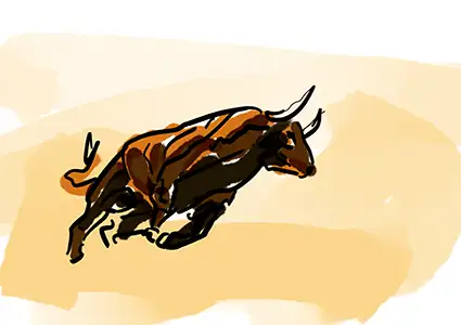 torro 1