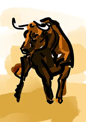 torro pomarez
